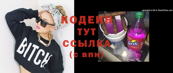 не бодяженный Корсаков