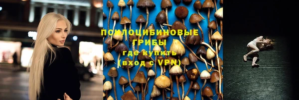 прущая мука Коряжма