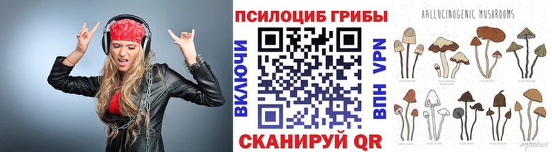 Купить закладки  Верхнеуральск  Псилоцибиновые грибы прущие грибы 